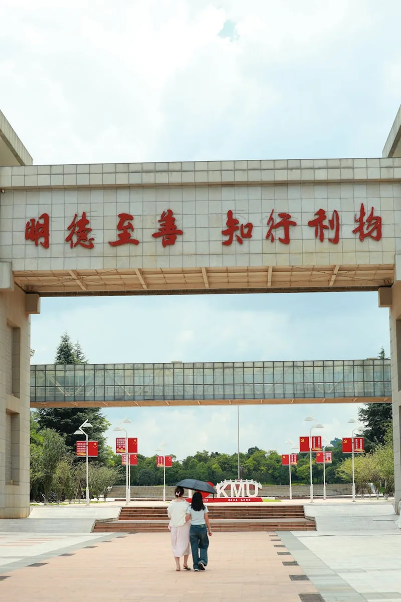 专题档案的索引卡与分层标签，展示专题由题材、冲突和阅读顺序多层信息组合